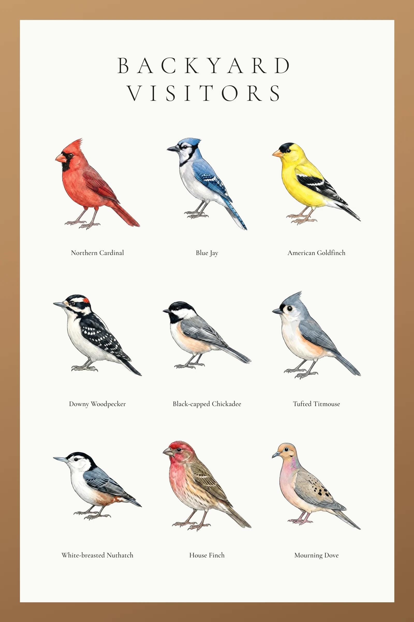Wood-framed 'Backyard Visitors' life-list poster — 9 hand-illustrated backyard birds in a 3×3 grid